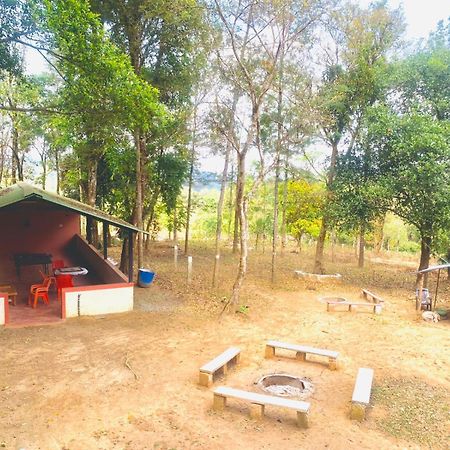 Shrenya Orchidz-Coorg Nature Stay Мадикери Экстерьер фото